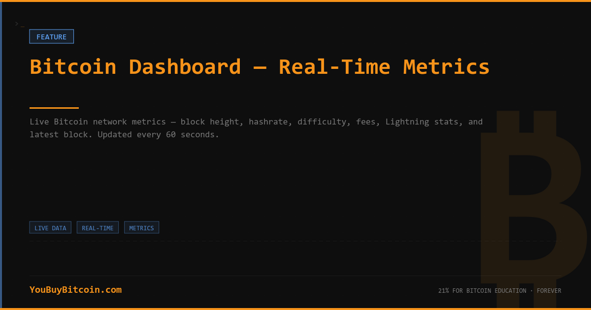 Bitcoin Dashboard — Real-Time Metrics | YouBuyBitcoin